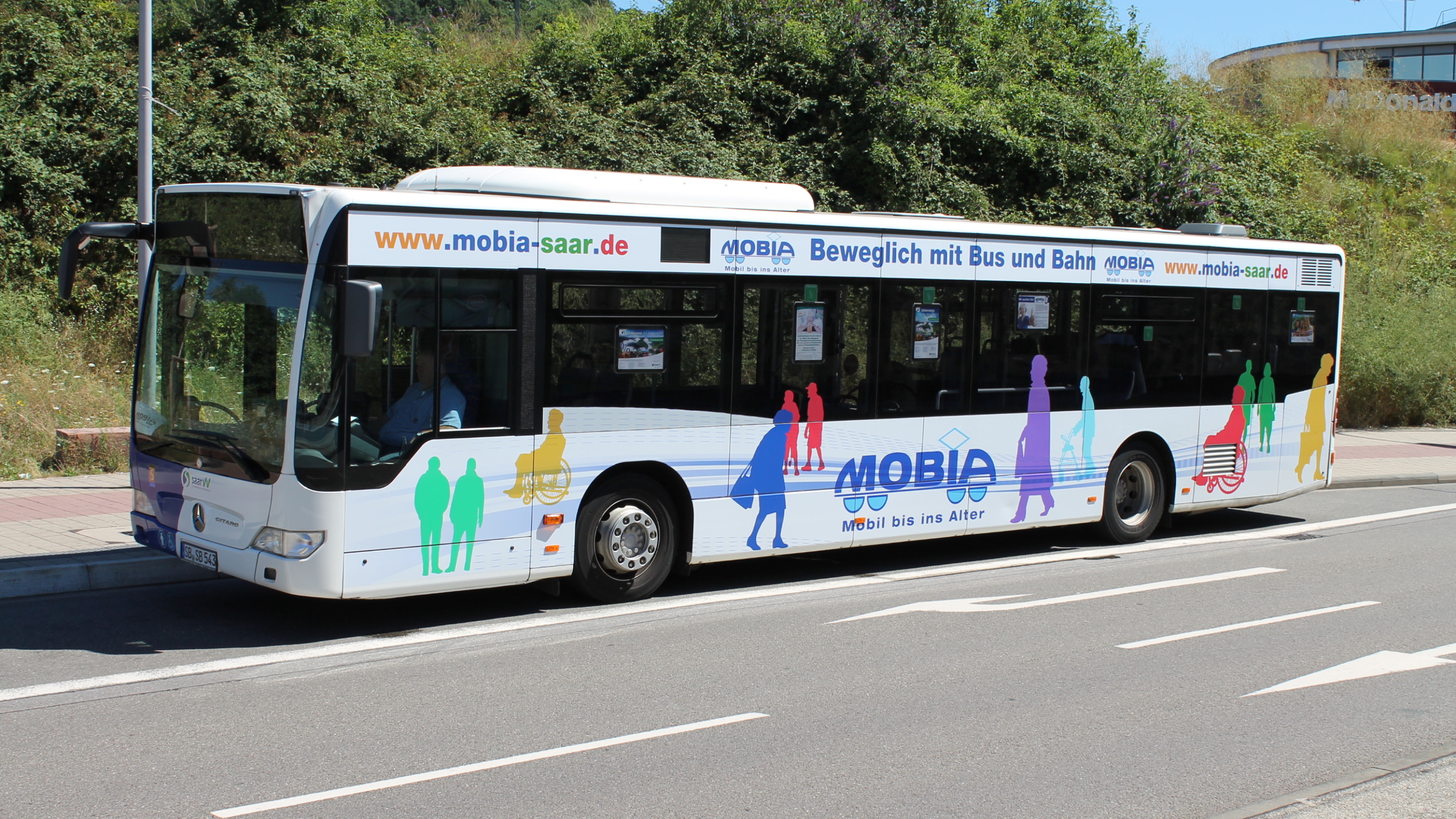 Bus