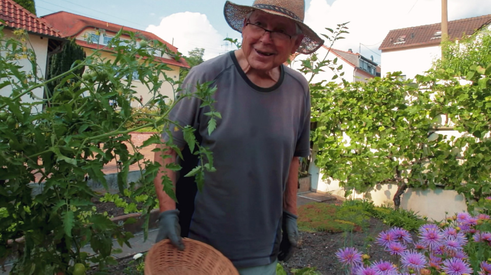 SOMMER IM GARTEN 