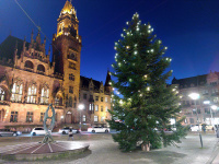 Weihnachtsbaum vor dem Rathaus St. Johann