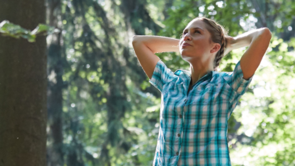 Urwald vor den Toren der Stadt 