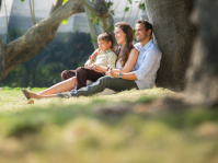 Eltern und Kind sitzen unter einem Baum