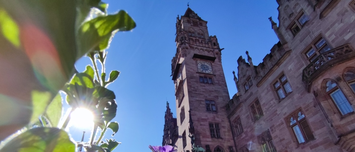 Blumen vor dem Rathaus