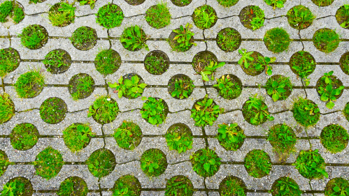 Rasengittersteine. Rasengittersteine. Foto: FotoSabine / Adobe Stock