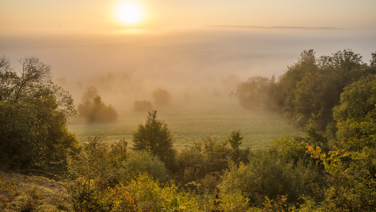 Biosphärenreservat Bliesgau