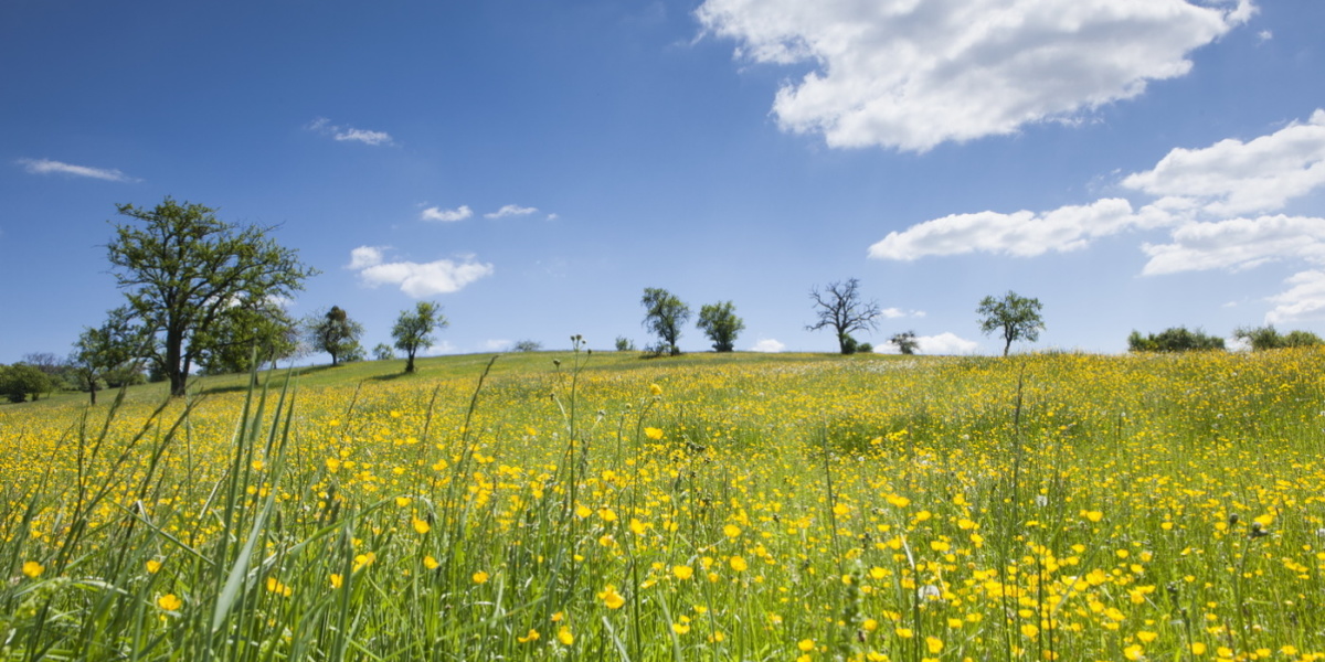 Kulinarische Wanderung Biosphäre Bliesgau