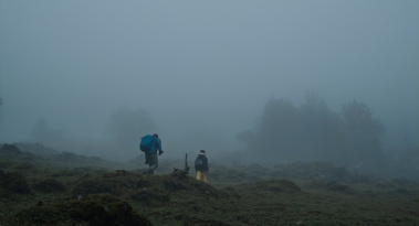 2 Wanderer auf einem Feld im Nebel