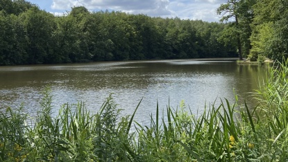 Netzbachweiher