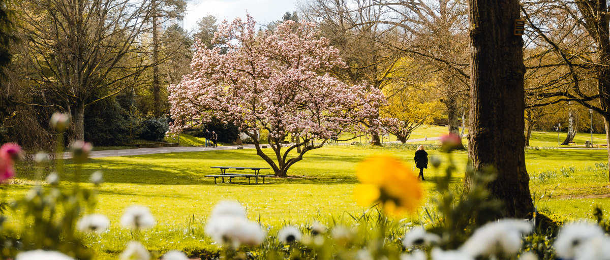 Deutsch-Französischer Garten mit Frühlingsblumen