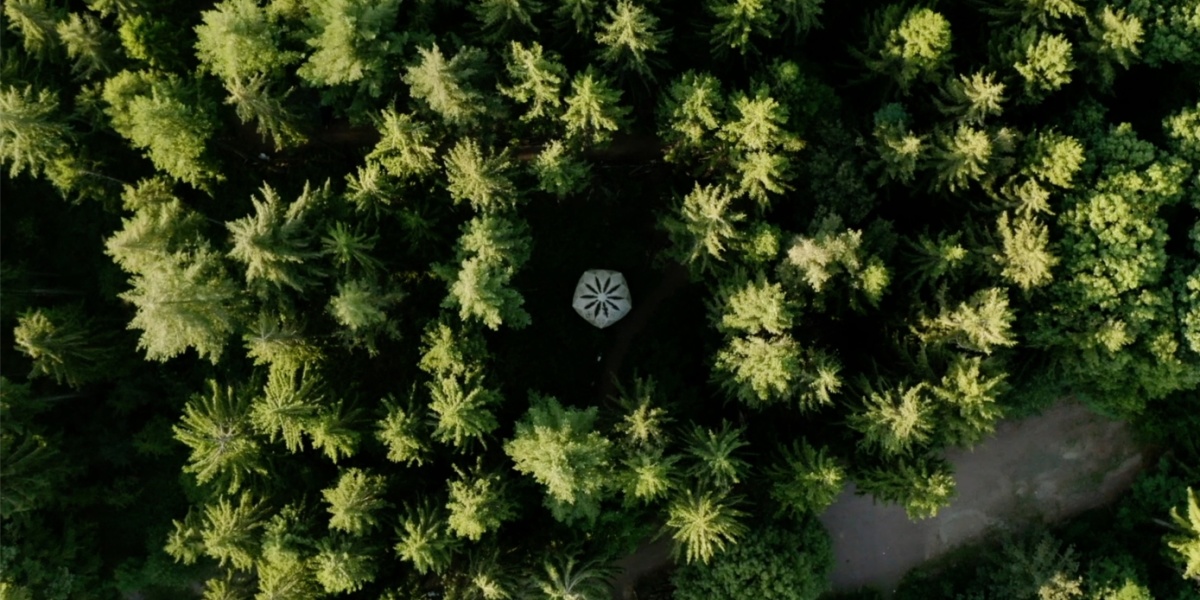 Urwald vor den Toren der Stadt