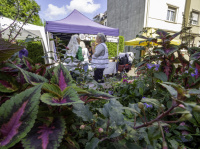 Im Vordergrund sind bunte Blumen zu sehen, dahinter stehen zwei ältere Damen vor einen bunten Stand