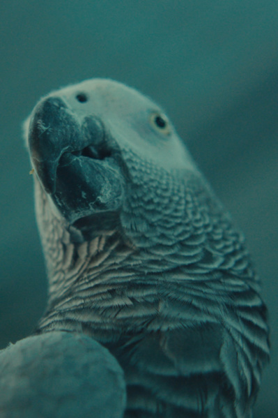 STUPOR Filmstill STUPOR