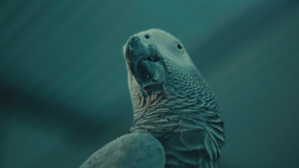 Filmstill STUPOR Filmstill STUPOR