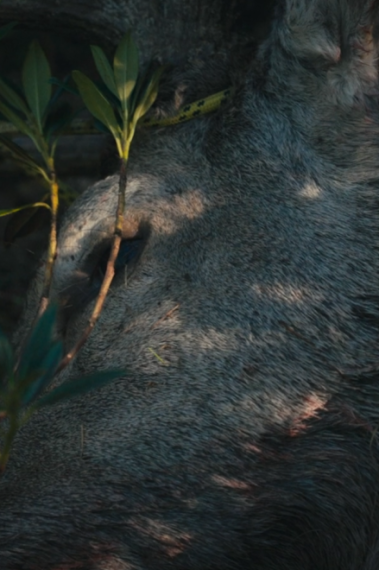 Filmstill LES CHASSERESSES