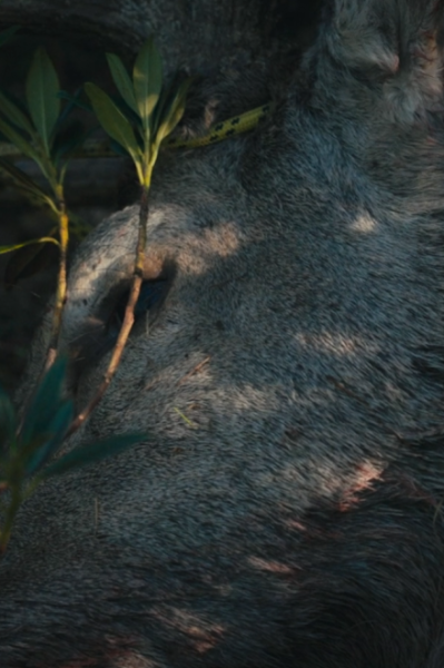 LES CHASSERESSES Filmstill LES CHASSERESSES