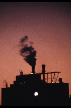 TERRE ROUGE Filmstill TERRE ROUGE