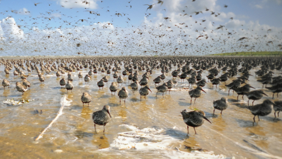 Filmstill IM LICHT DER SANDBANK Filmstill IM LICHT DER SANDBANK