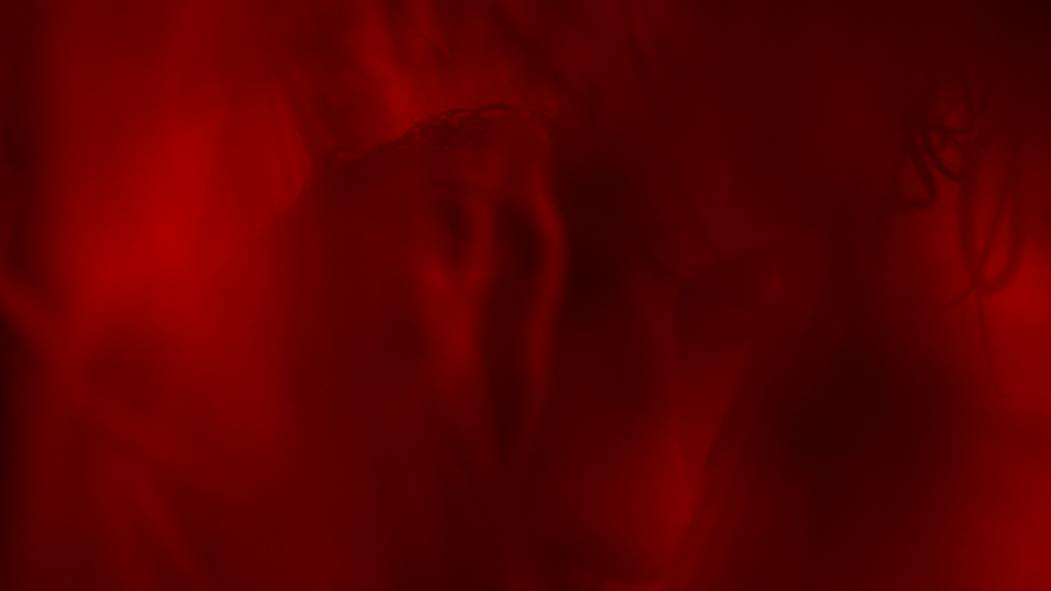 ROTATING ROMANCE ROTATING ROMANCE