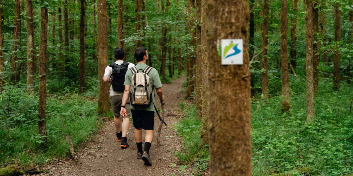Zwei Männer beim Wandern im Wald.